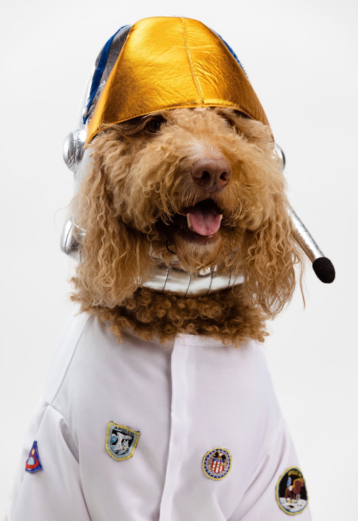 Astronaut Pet Costume
