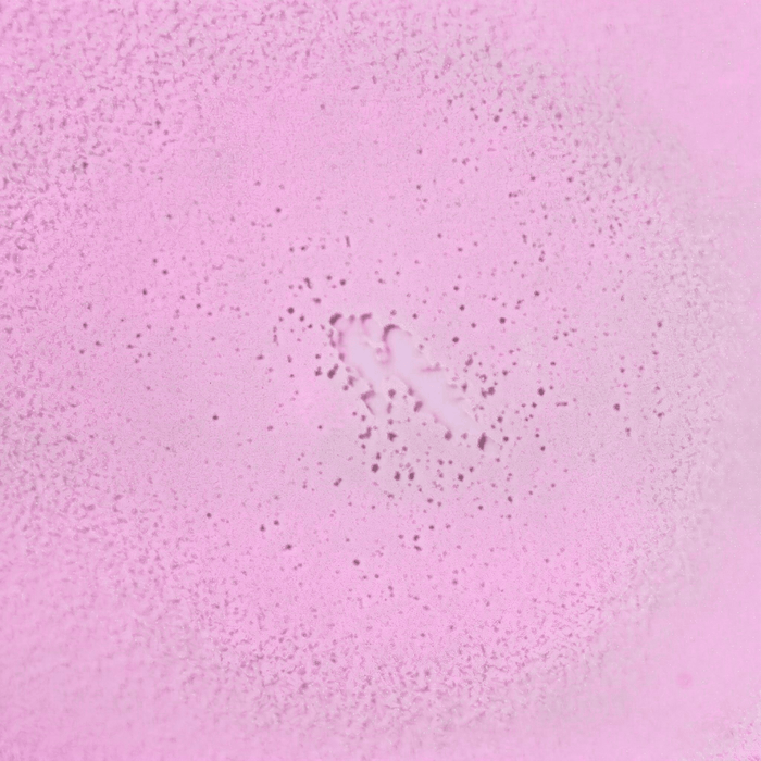Bask Sunscreen | SPF 50 Mineral Non-Aerosol Spray - Fragrance-Free - Bask Sunscreen - Living with Ivey