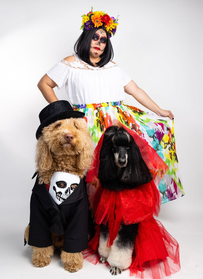 Catrina Pet Custome