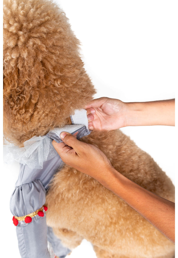 Creepy Clown Pet Costume