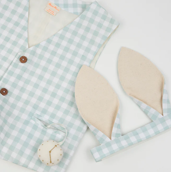 Dress Up Kit - Gingham Bunny - Content Close Up