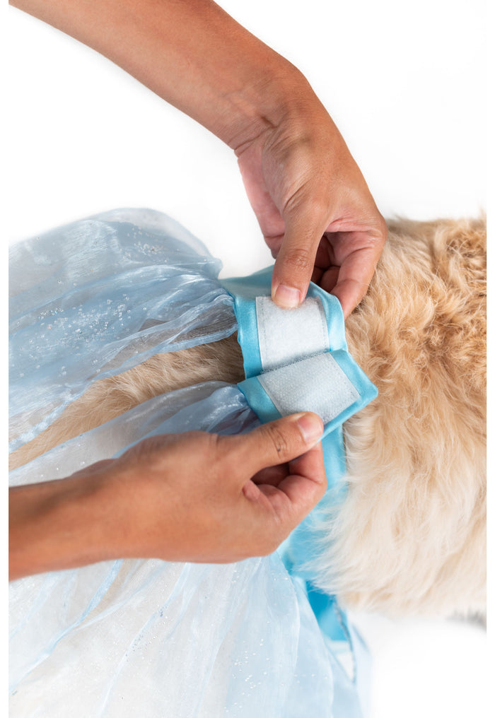 Frozen Queen Pet Costume