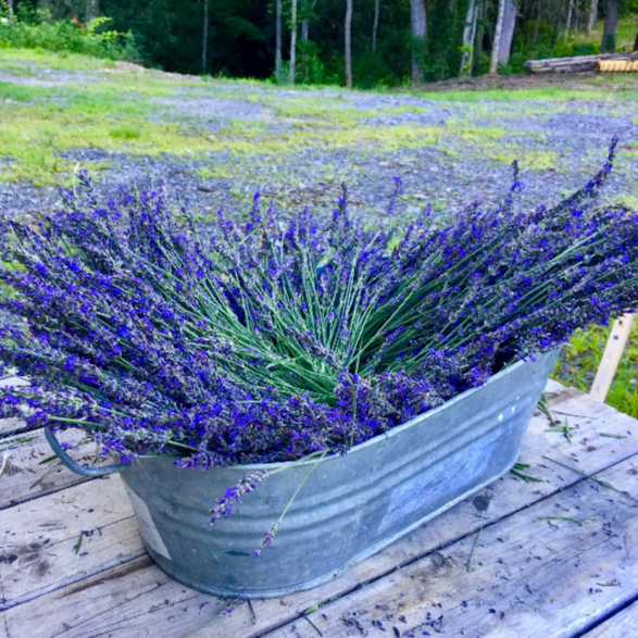 Lavender Sachet Gift Basket