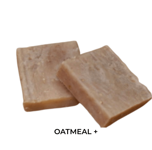 Oatmeal PLUS ( Non Vegan)
