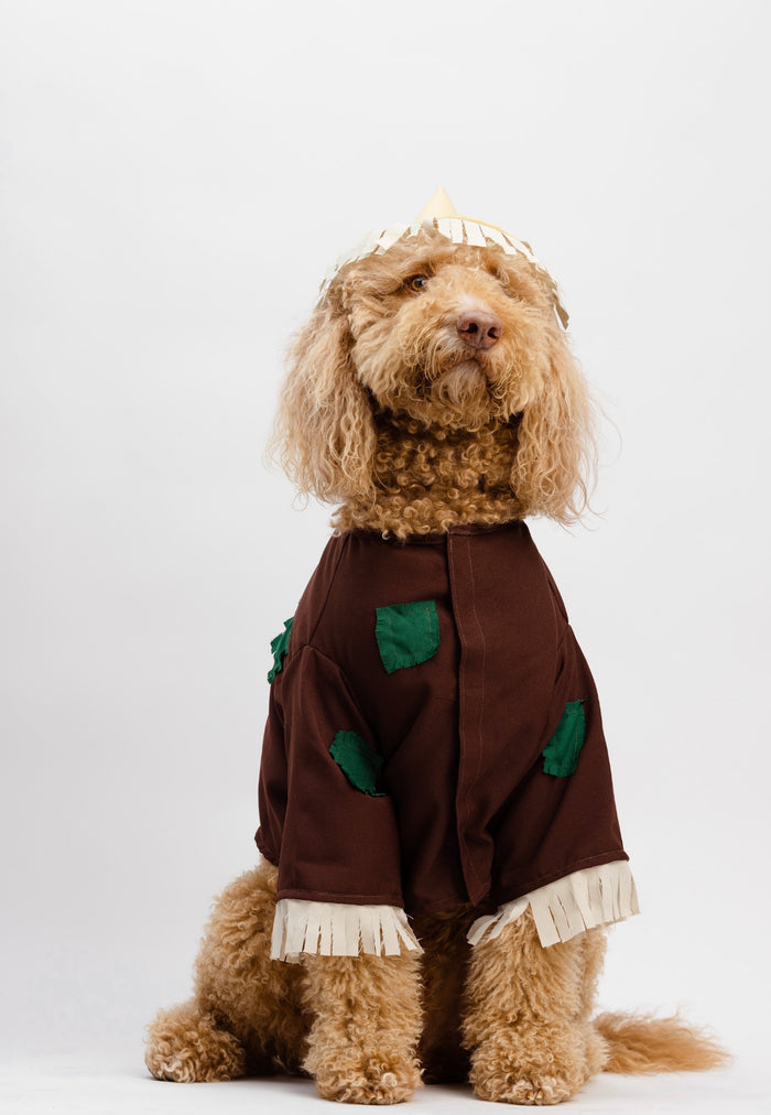 Scarecrow Pet Costume