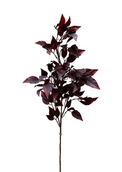 35" BURGUNDY Fiscus Spray