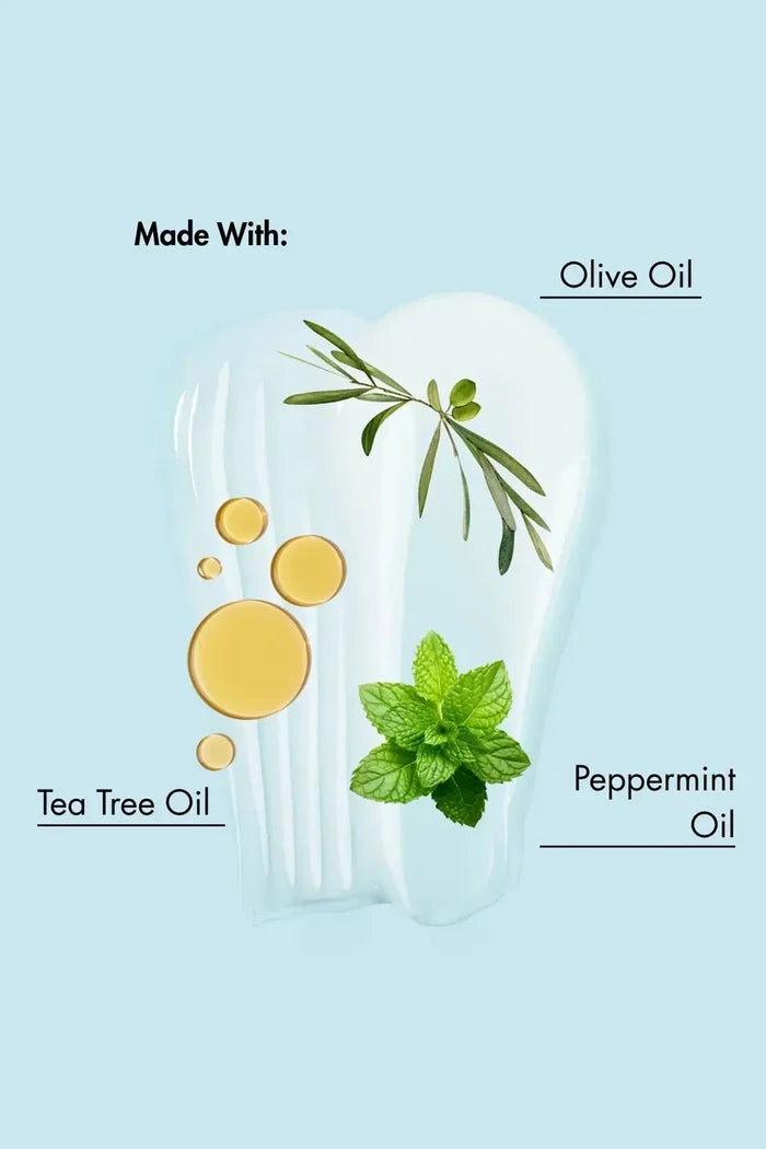 AS I AM DRY & ITCHY SCALP CARE OLIVE & TEA TREE OIL CO-WASH 16oz AS I AM