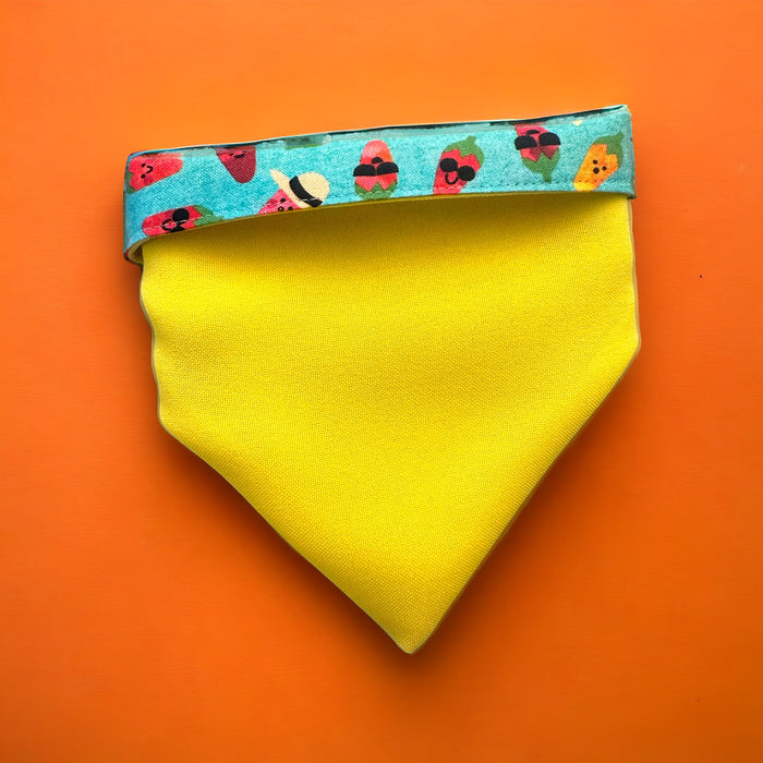 Bandana Chiill-Chillis