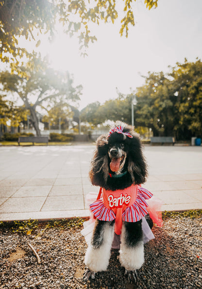 Barbie Pet Custome