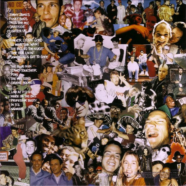 Beastie Boys Check Your Head