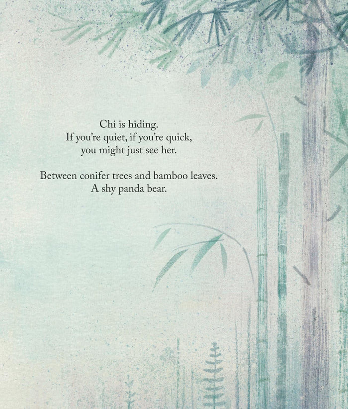 Book - Song In The Mist