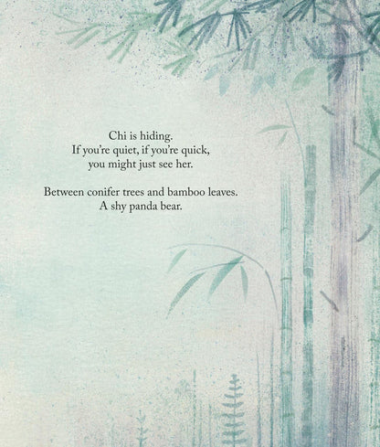 Book - Song In The Mist