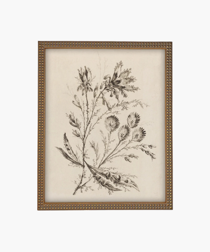 Black and white botanical illustration of delicate flowers and leaves in an ornate gold frame in a beaded gold frame, conveying a vintage and elegant aesthetic. | Wildwood Home Co.