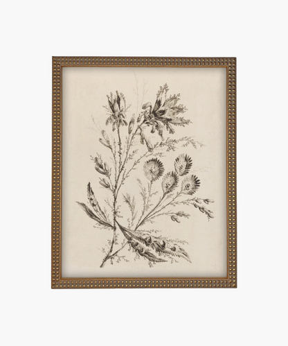 Black and white botanical illustration of delicate flowers and leaves in an ornate gold frame in a beaded gold frame, conveying a vintage and elegant aesthetic. | Wildwood Home Co.