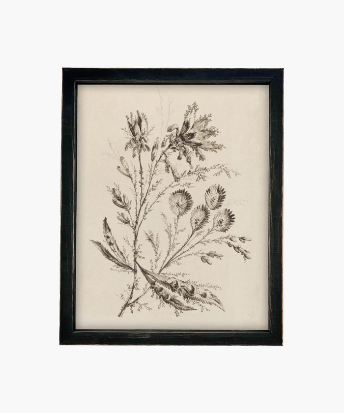 Black and white botanical illustration of delicate flowers and leaves in an ornate gold frame in a vintage black frame, conveying a vintage and elegant aesthetic. | Wildwood Home Co.