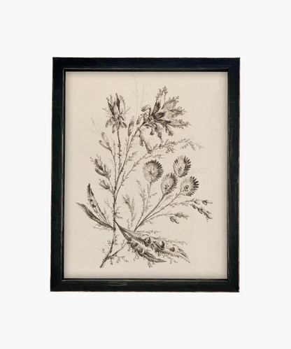 Black and white botanical illustration of delicate flowers and leaves in an ornate gold frame in a vintage black frame, conveying a vintage and elegant aesthetic. | Wildwood Home Co.