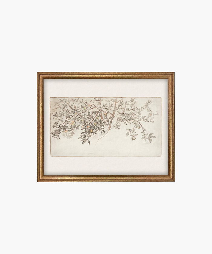 An elegant painting of a leafy branch with small fruits, delicately sketched in soft colors. Framed in ornate gold, it conveys a serene, organic vibe. | Wildwood Home Co.