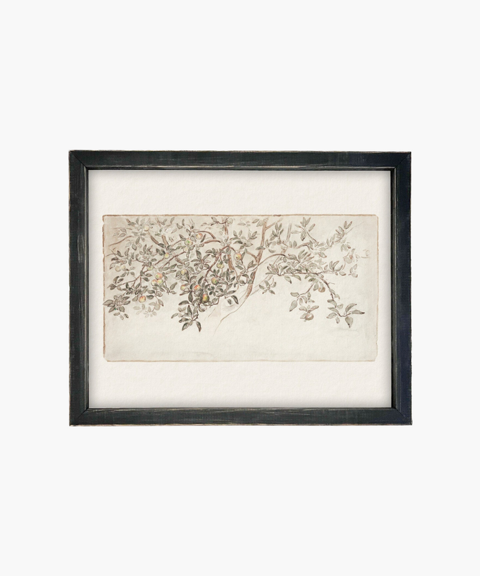 An elegant painting of a leafy branch with small fruits, delicately sketched in soft colors. Framed in black, it conveys a serene, organic vibe. | Wildwood Home Co.