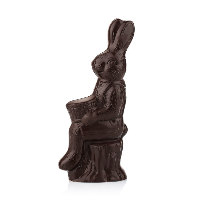 Bunny on Log