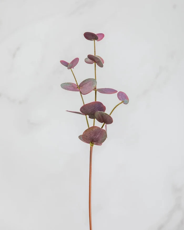 Burgundy Eucalyptus Branch 18"
