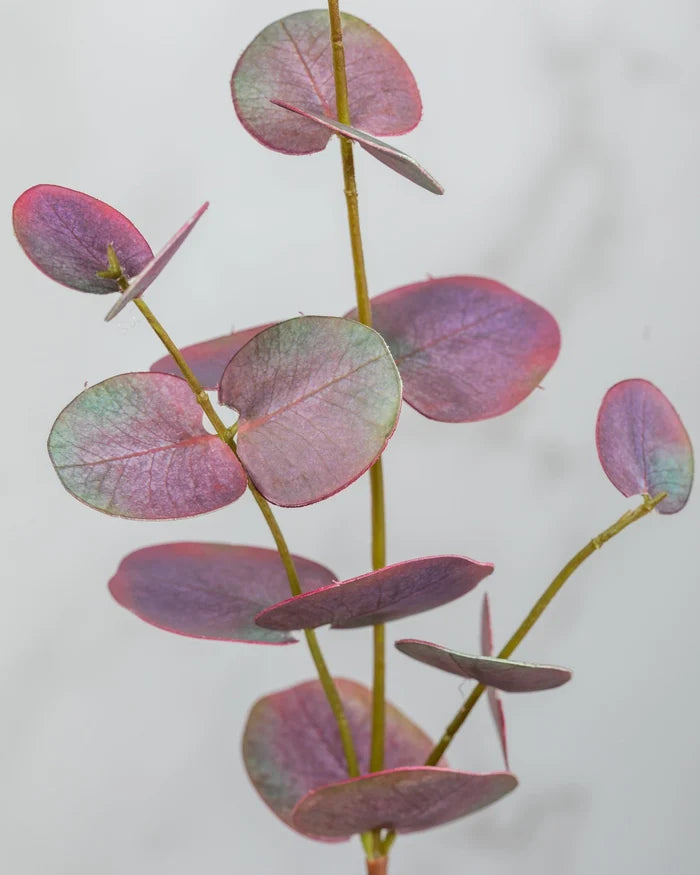 Burgundy Eucalyptus Branch 18"