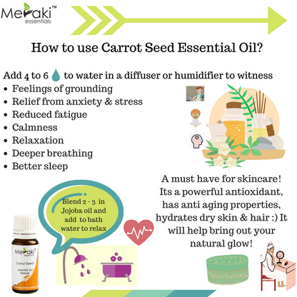 Carrot Seed Diffusion