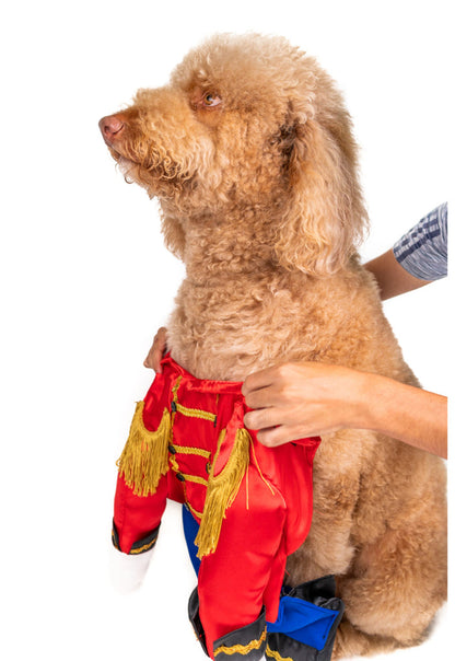 Charming Prince Pet Costume
