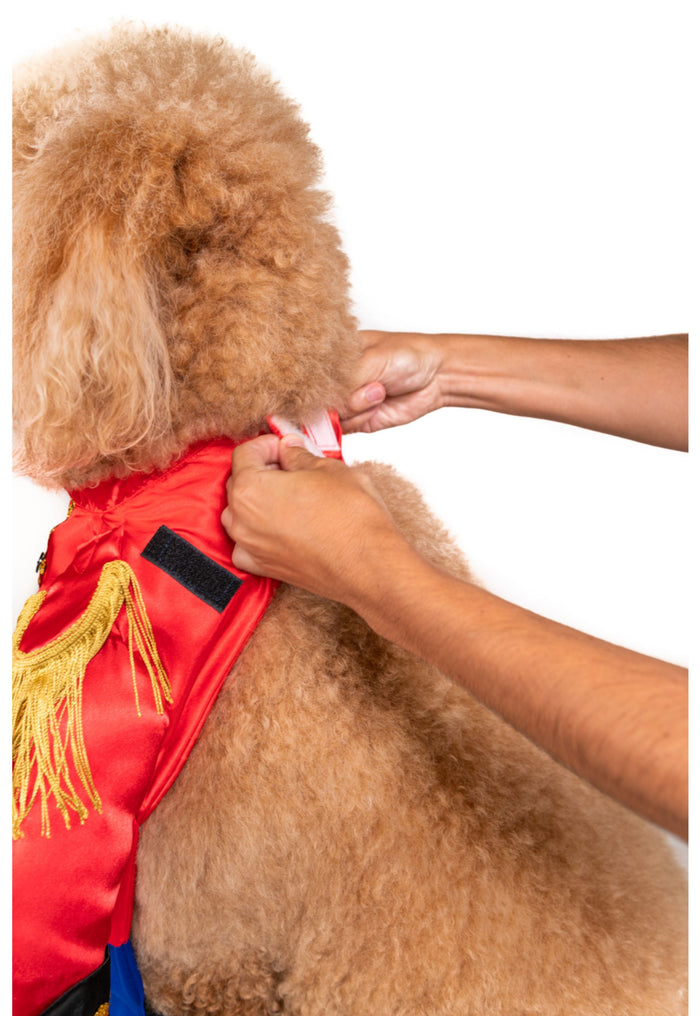 Charming Prince Pet Costume