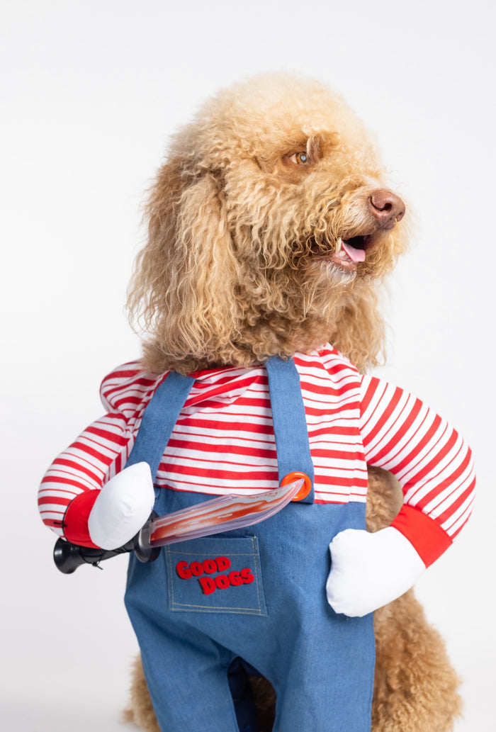 Chucky Pet Custome