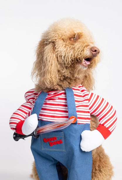 Chucky Pet Custome