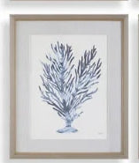 Coral Framed Wall Art