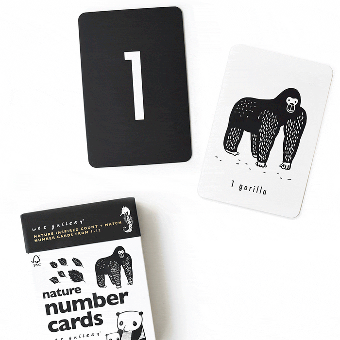 Wee Gallery Counting Adventure Bundle