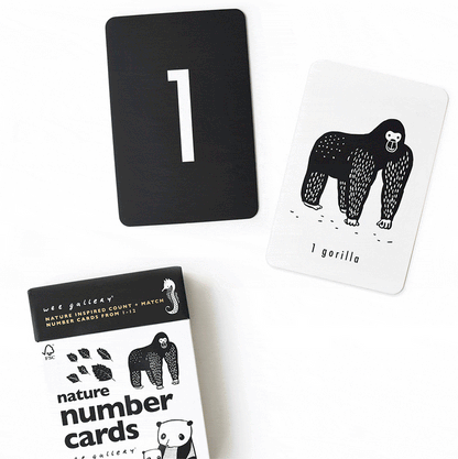 Wee Gallery Counting Adventure Bundle