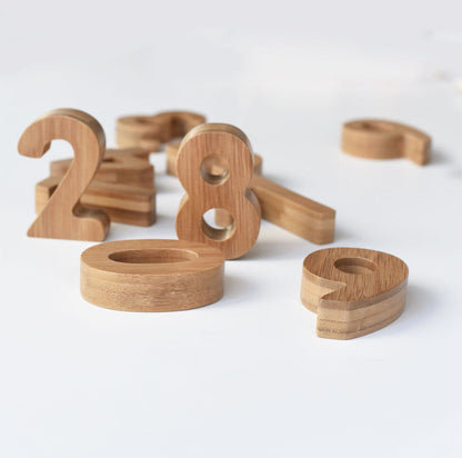 Wee Gallery Counting Adventure Bundle