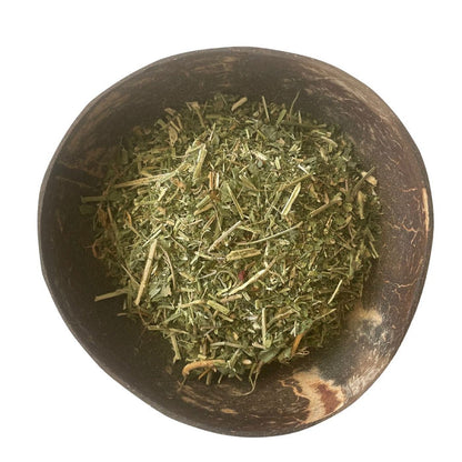 Dog Blood herb effective relief for womens troubles: infertility tea, fibroids, pcos support, natural remedy for womens reproductive health