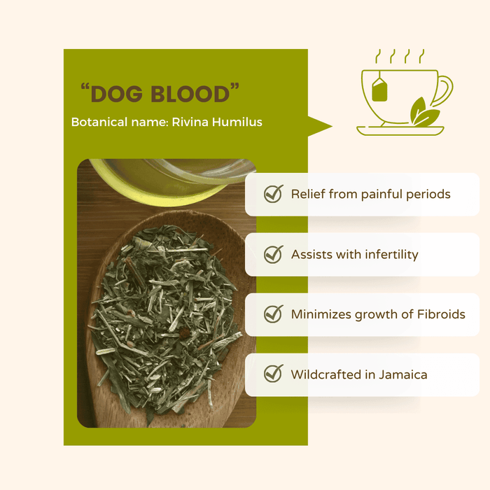 Rivina Humilus herbal tea for fibroids, pcos, infertility, painful period remedy untainted bath and body care