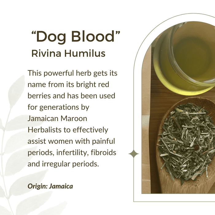 organic herb for women's reproductive health. Support for fibroids, infertility, pcos, painful menstruation