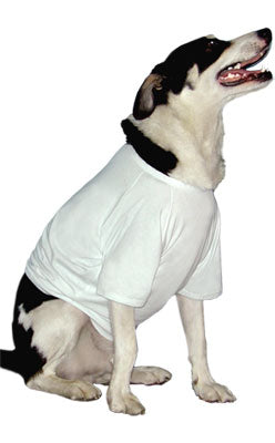 Doggy T-shirts