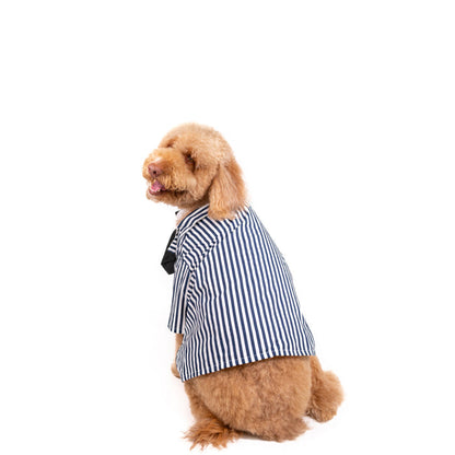 Doodlegeuse  Pet Costume