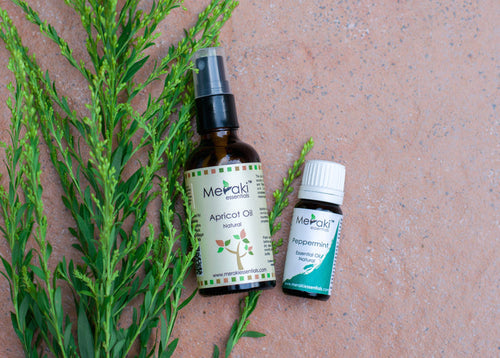 Dry Scalp/ Hair Combo for Summers - Apricot Oil & Peppermint Essential Oil