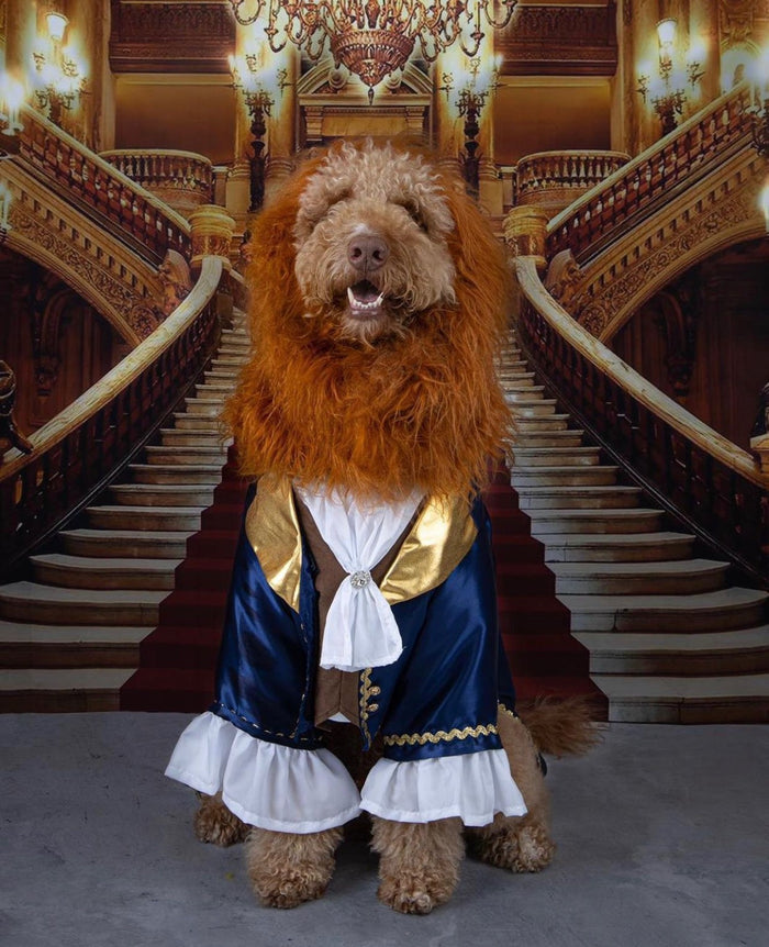 Enchanted Prince