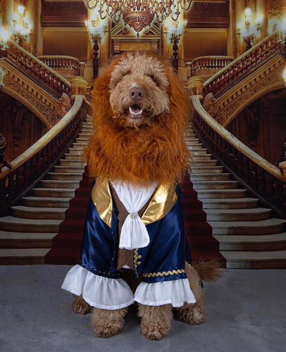 Enchanted Prince