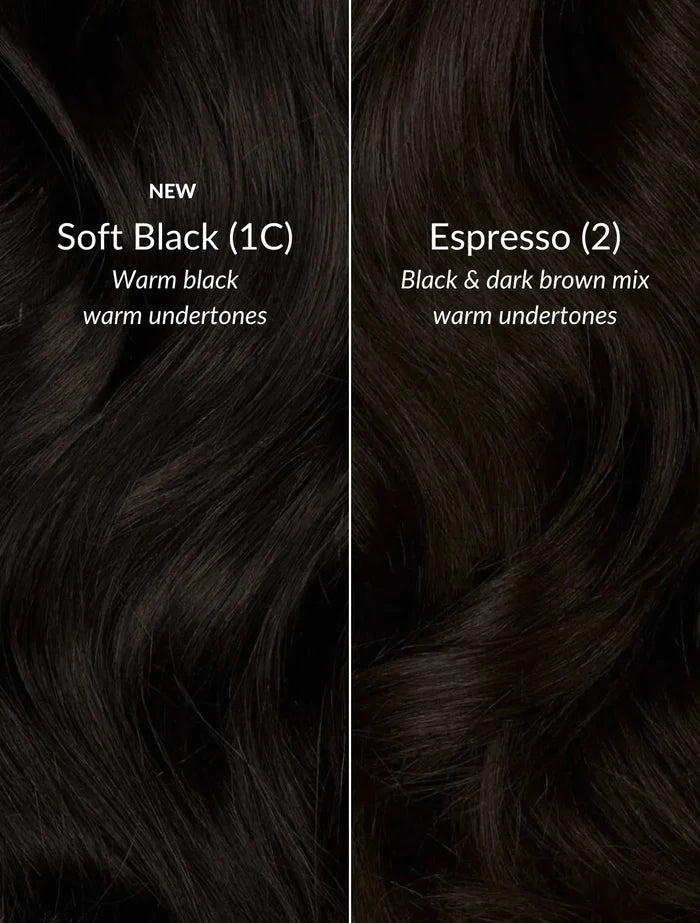 Espresso (2) 20" Single Weft - Clip-Ins
