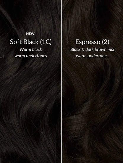 Espresso (2) 20" Single Weft - Clip-Ins
