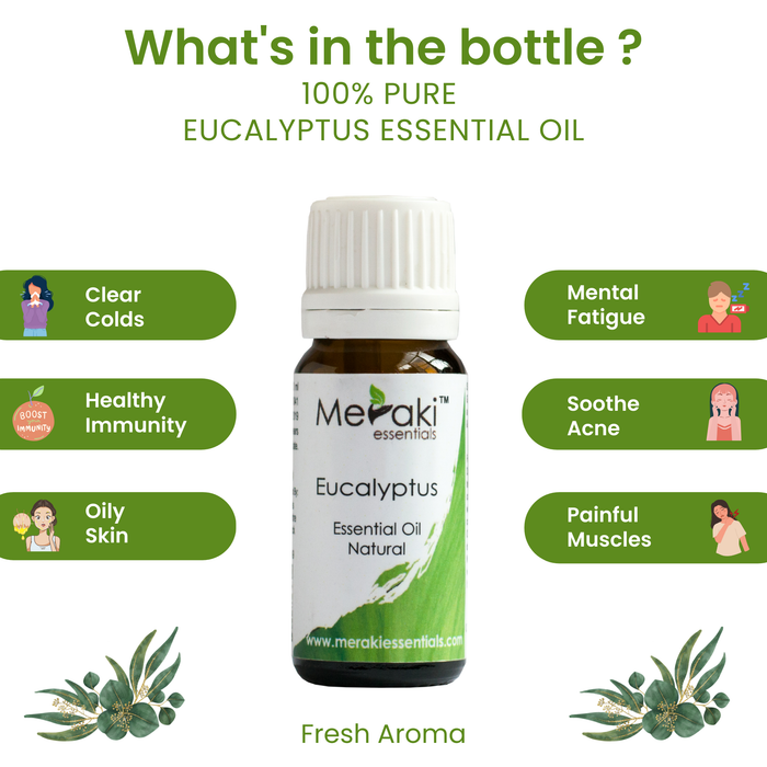 Benefits of Eucalyptus Essential oil