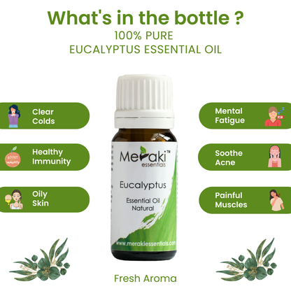 Benefits of Eucalyptus Essential oil
