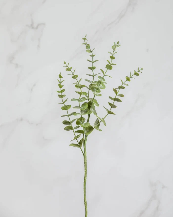 Eucalyptus Leaf Green 28.5
