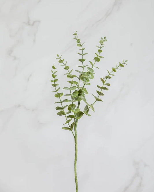 Eucalyptus Leaf Green 28.5