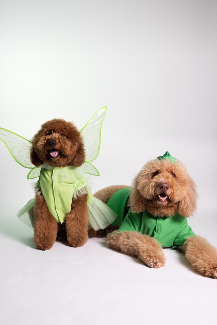 Fairy Pawtie Tale
