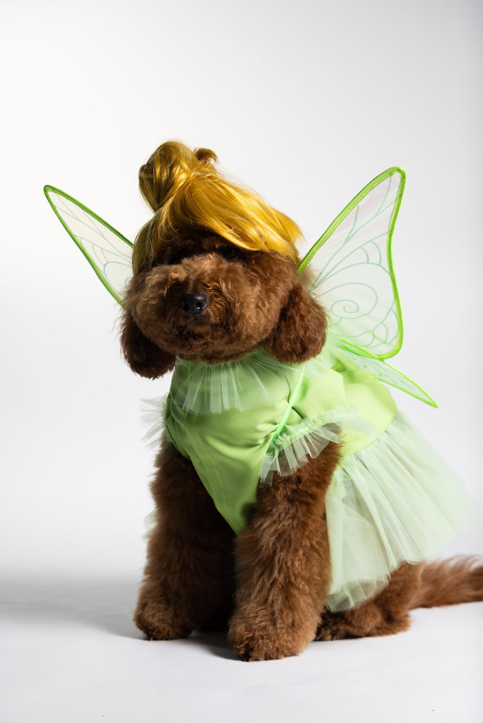 Fairy Pawtie Tale